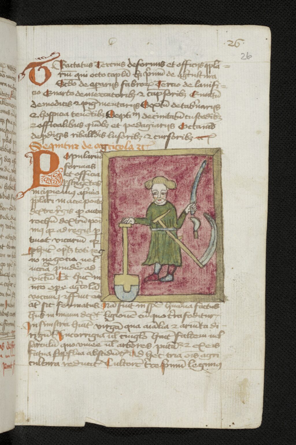 AM016 55 Agricultor